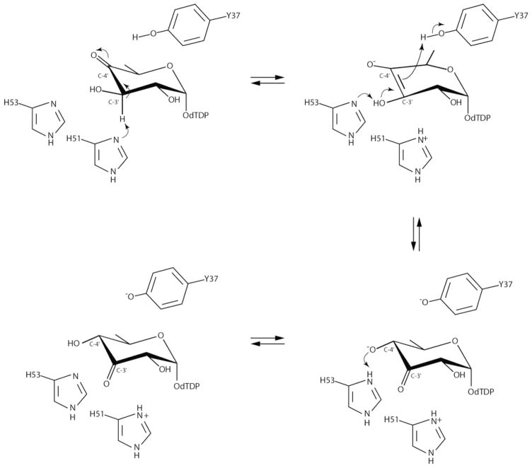 Scheme 3