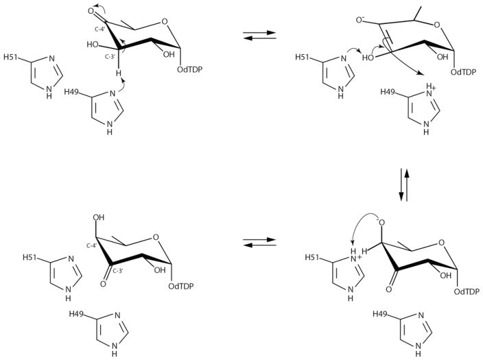 Scheme 2