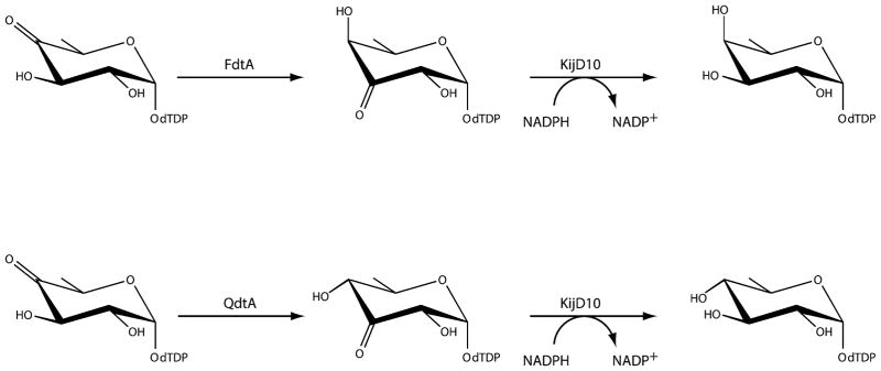 Scheme 4