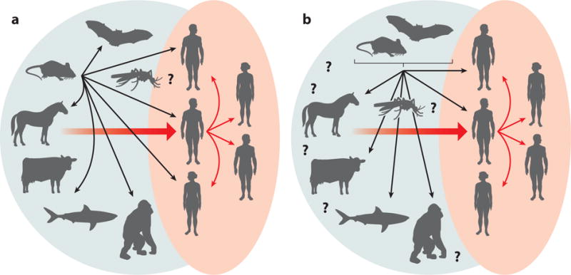 Summary Figure