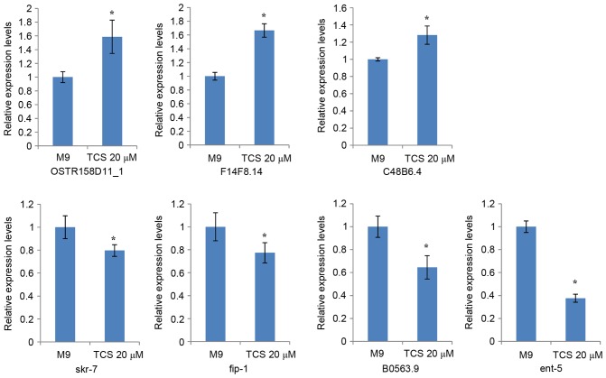 Figure 5.