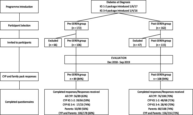 Questionnaire Based Service Evaluation Of The Efficacy And Usefulness Of Seren A Structured