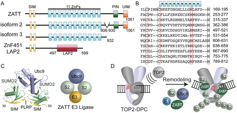 Figure 5: