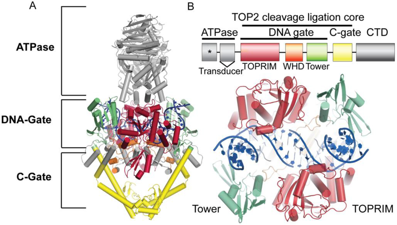 Figure 1: