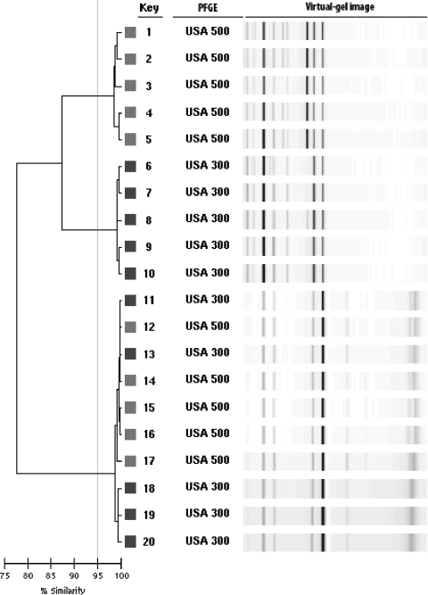 FIG. 1.