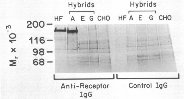 graphic file with name pnas00610-0234-a.jpg