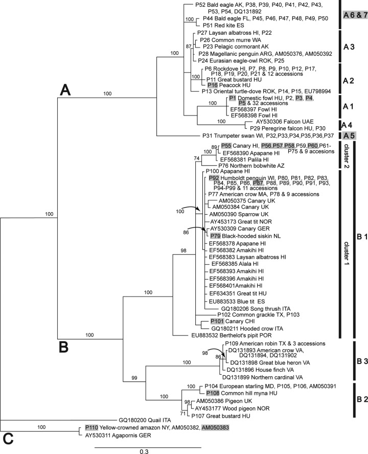 Fig 2