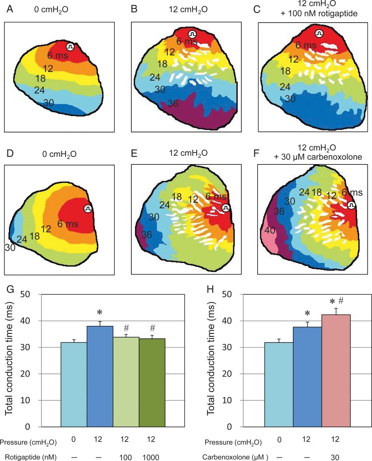 Figure 4