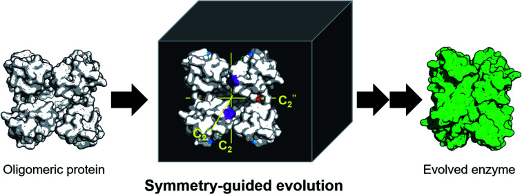 graphic file with name d0sc06823c-ga.jpg