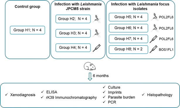 Figure 1