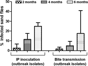 Figure 4