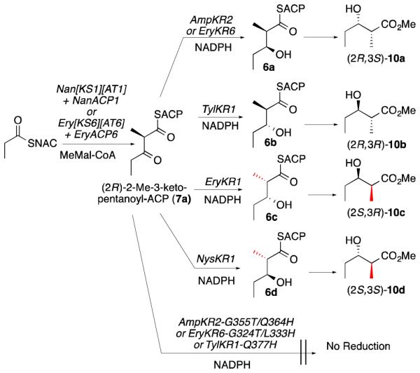 Scheme 3