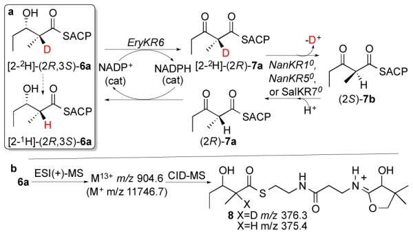 Scheme 4