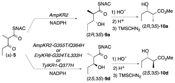 Scheme 2