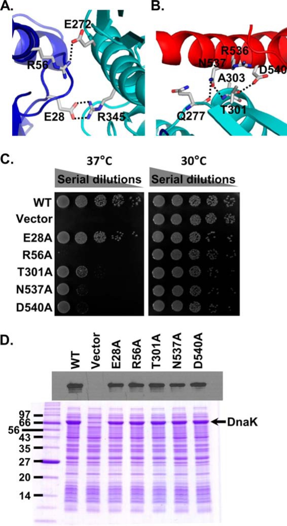 FIGURE 3.