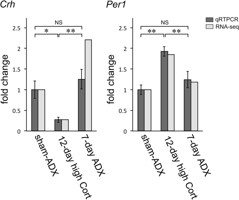 Figure 7.