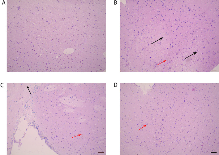 Figure 4.