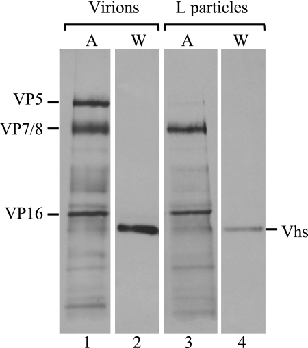 FIG. 11.