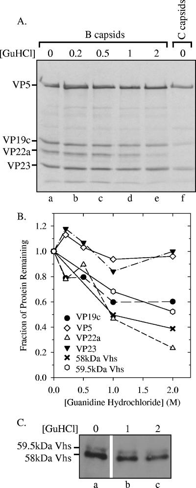 FIG. 8.