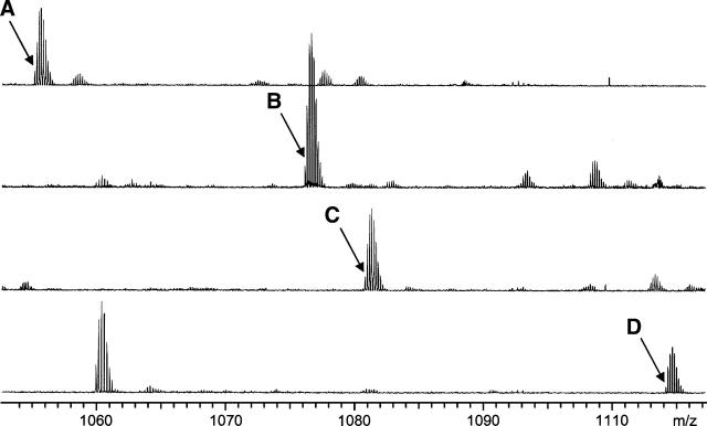 Figure 3.