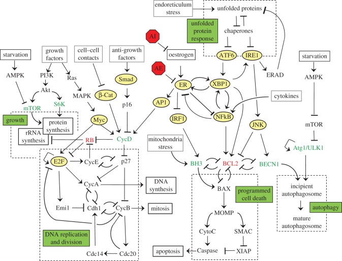 Figure 3.