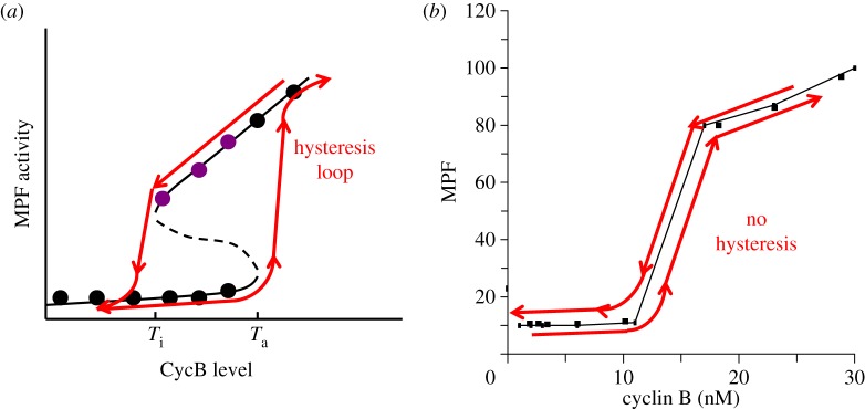 Figure 5.