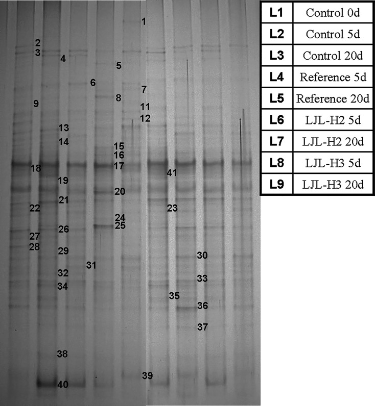 Fig 5