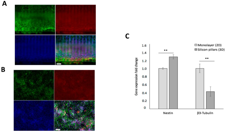 Figure 7