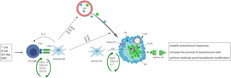 Figure 1