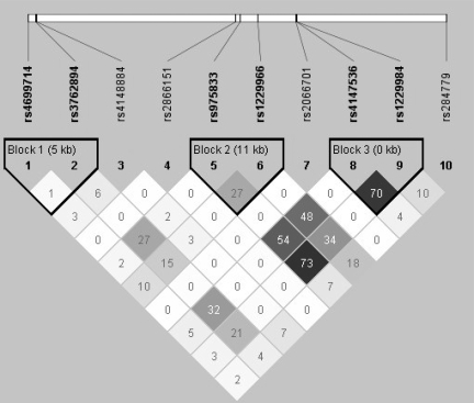 Figure 2.