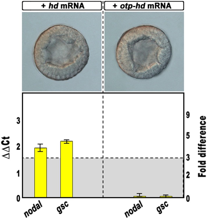 Figure 4—figure supplement 2.