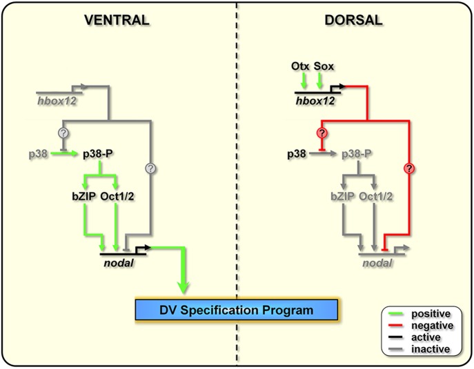 Figure 9.