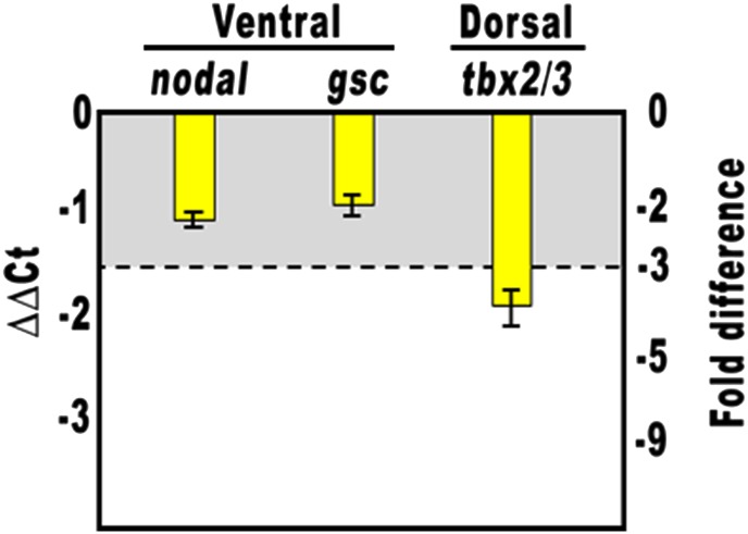 Figure 2—figure supplement 1.