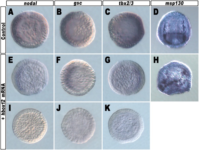 Figure 2—figure supplement 2.