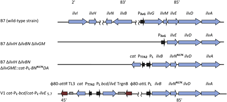 Fig. 3