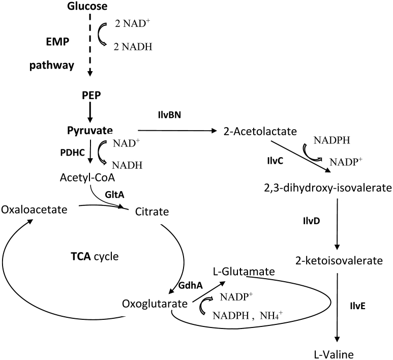 Fig. 2