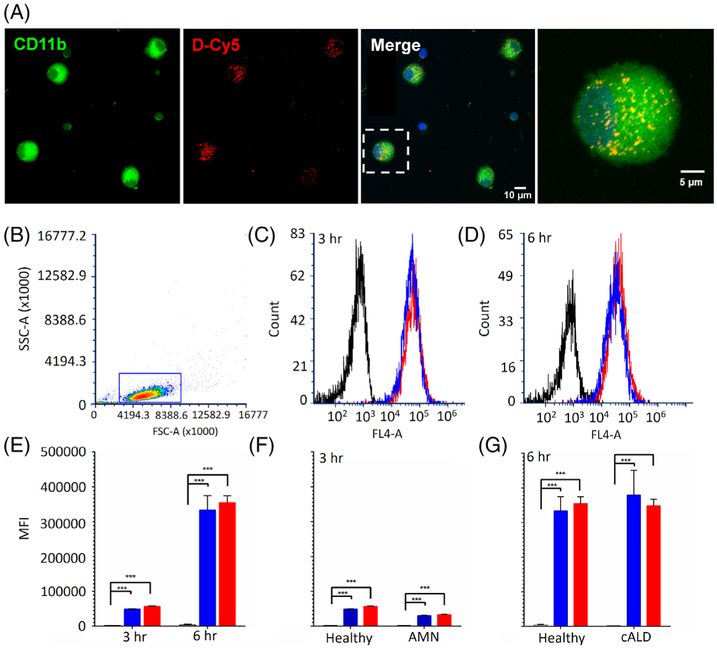 FIGURE 3: