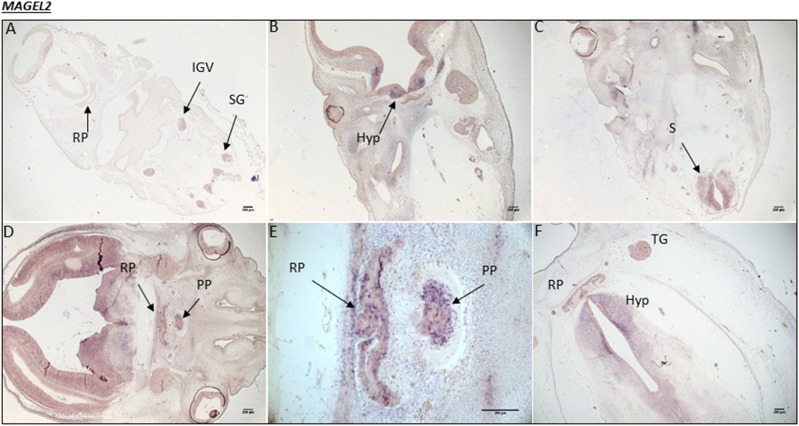 Figure 3.