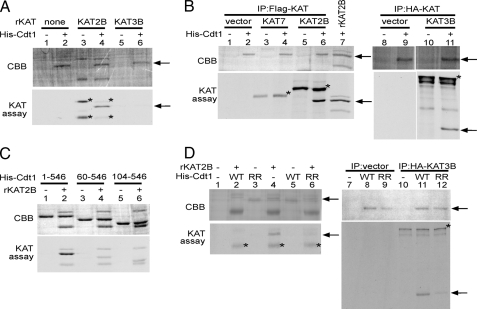 FIGURE 4.