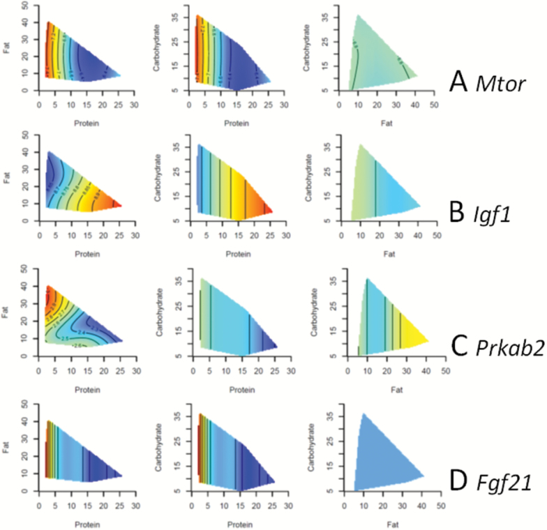 Figure 4.