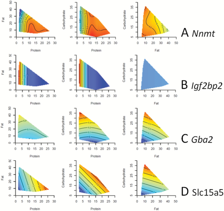 Figure 2.