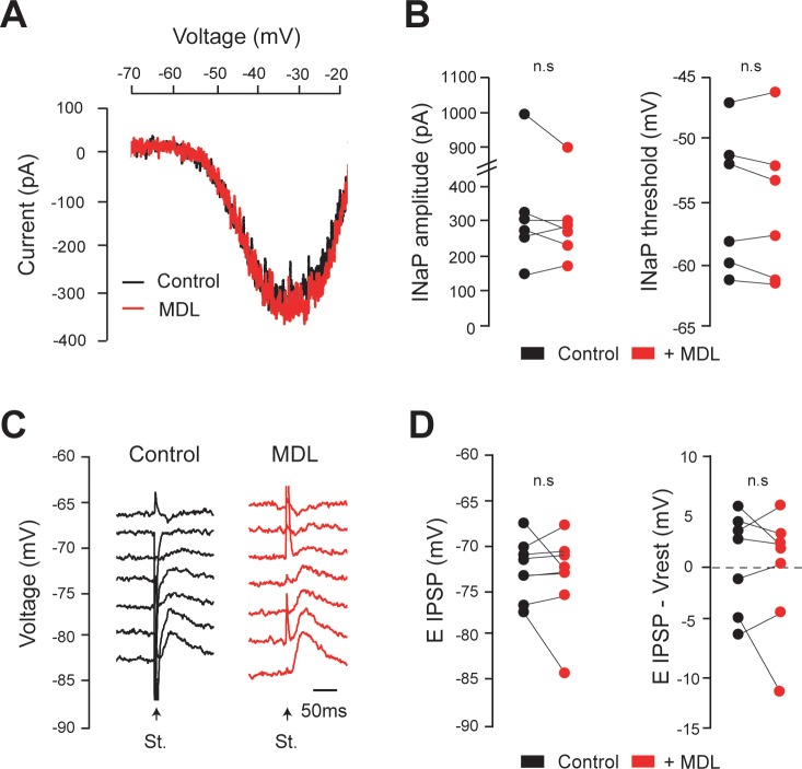 Figure 4—figure supplement 1.