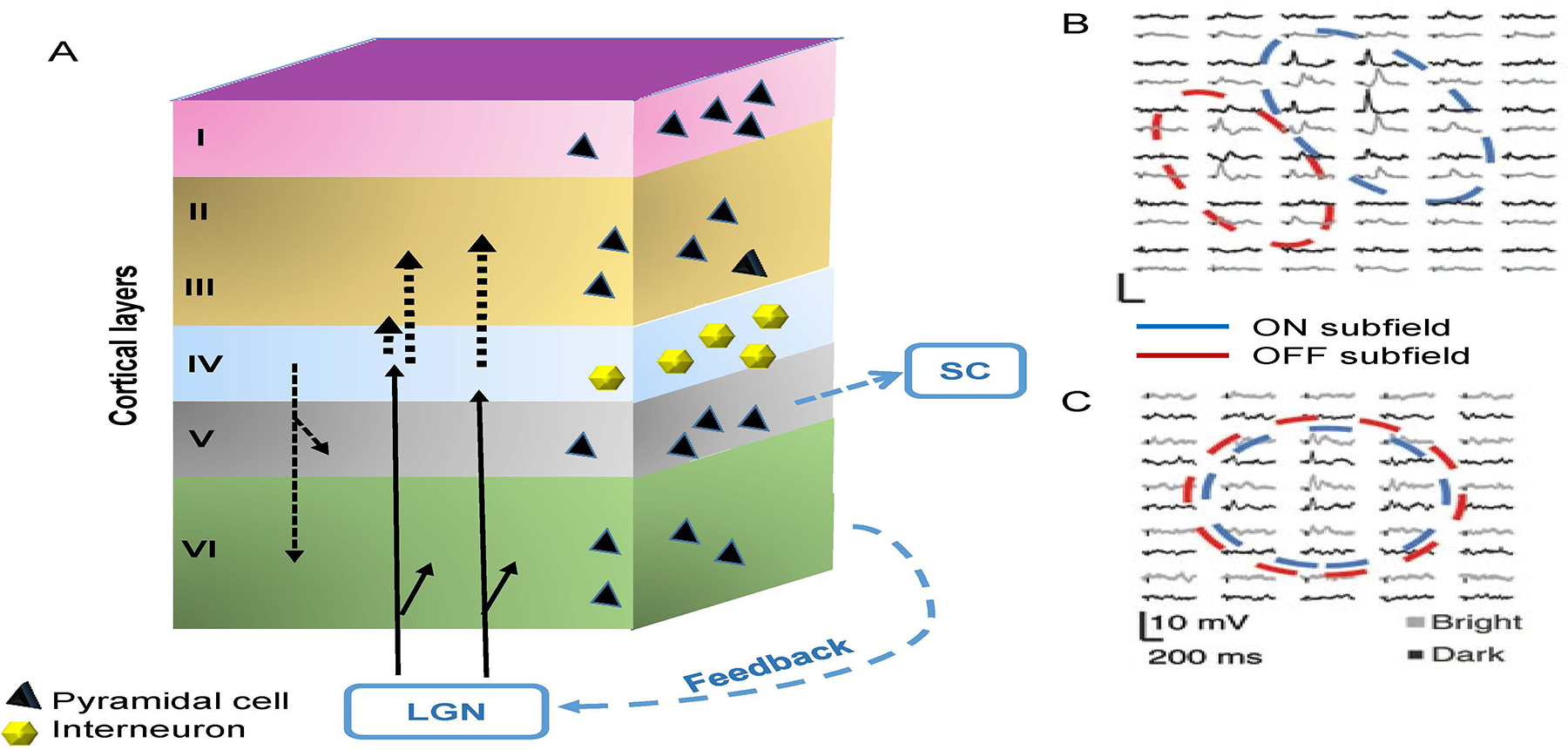 Figure 4.