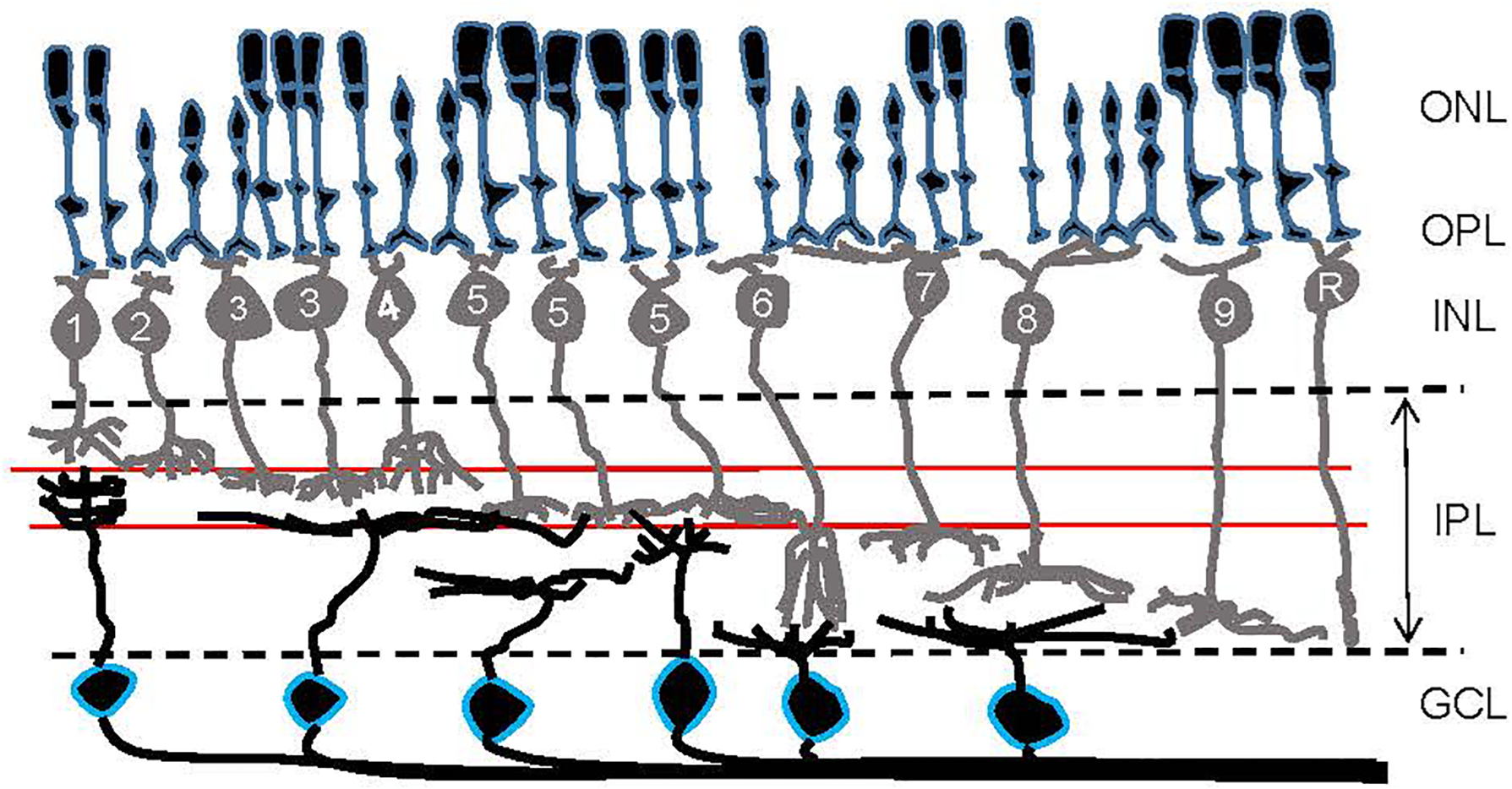 Figure 2.