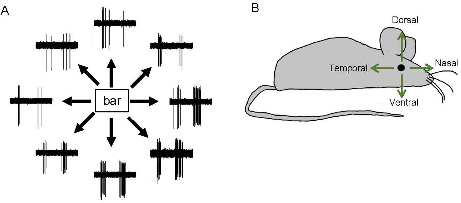 Figure 7.