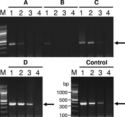 FIG. 1.