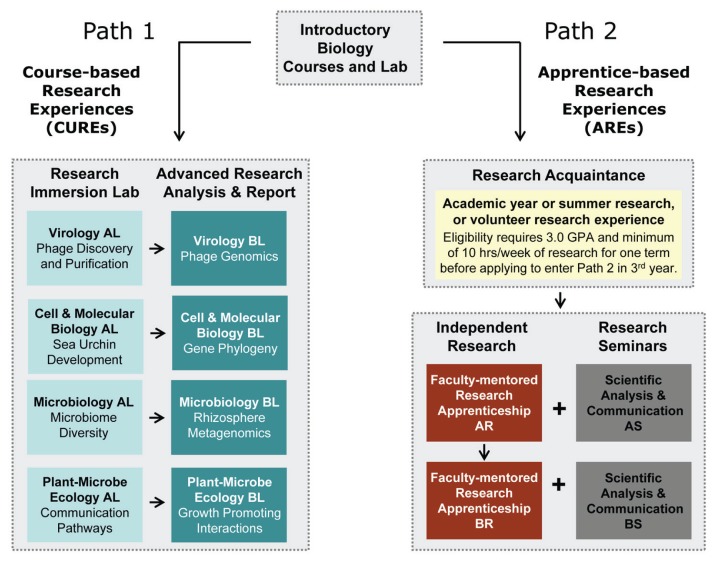 FIGURE 1