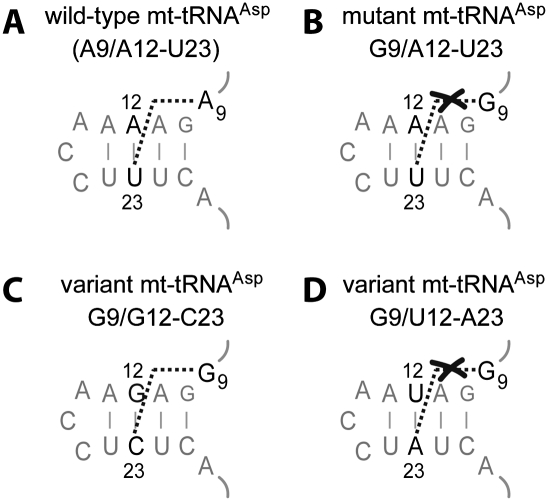 FIGURE 4.