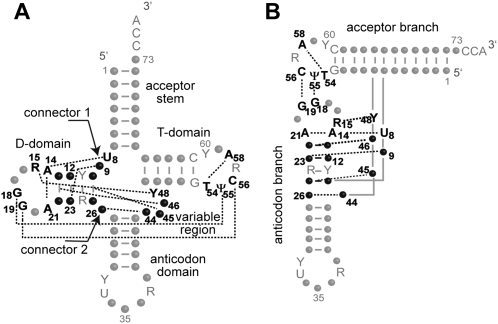 FIGURE 1.