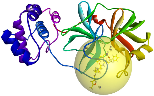 Fig. 1